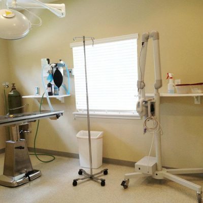 The surgical suite