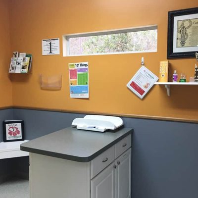 The cat only exam room