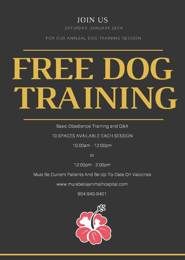 January 26: FREE Dog Training!
