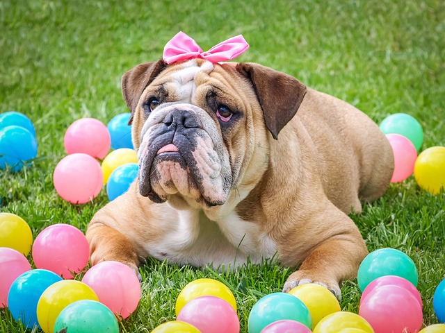 April 15-20: Easter Pet Pictures!