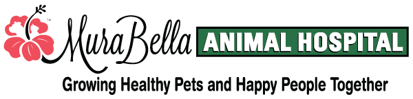 MuraBella Animal Hospital