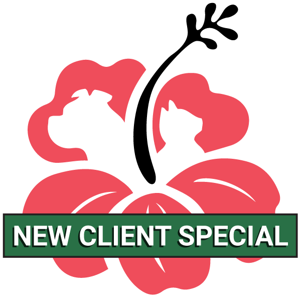 New Client Special at Our Animal Hospital